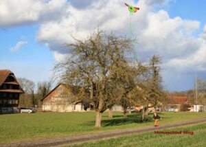 Drachen - Kite - Homeschool Blog, Bernice, Jan Zieba