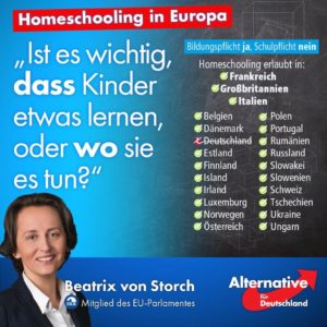 Homeschooling in Europa - AfD - Alternative für Deutschland