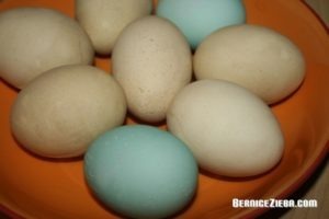 Mit Naturfarben gefärbte Eier, Bernice Zieba