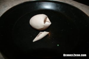 Eierschale wie Plastik, Egg shell is like plastic